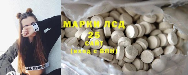 ешки Горняк