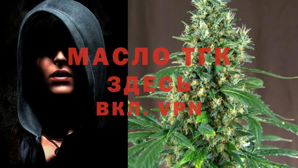 ешки Горняк